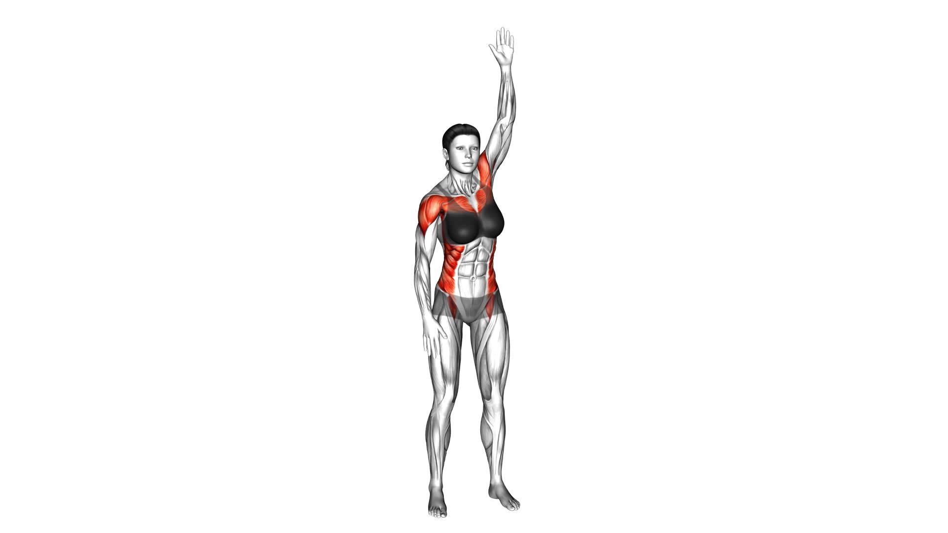 Standing Swimmer (female) - Video Exercise Guide & Tips