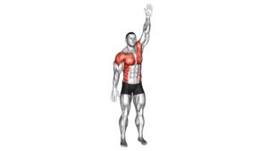 Standing Swimmer - Video Exercise Guide & Tips