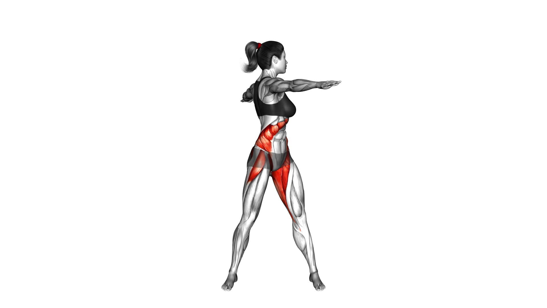 Standing Torso Twist (female) - Video Exercise Guide & Tips