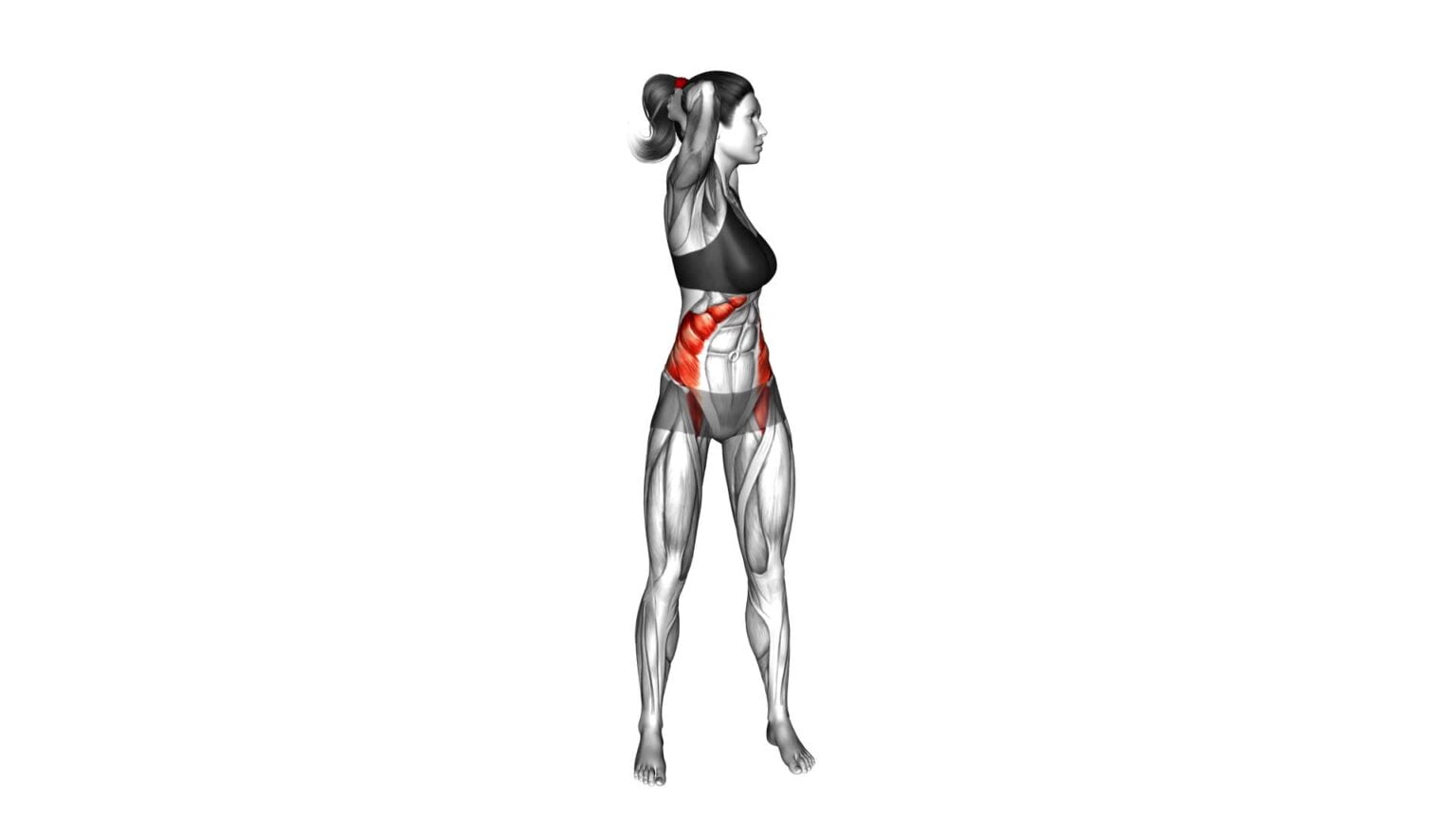 Standing Twist Stretch (female) - Video Guide & Tips