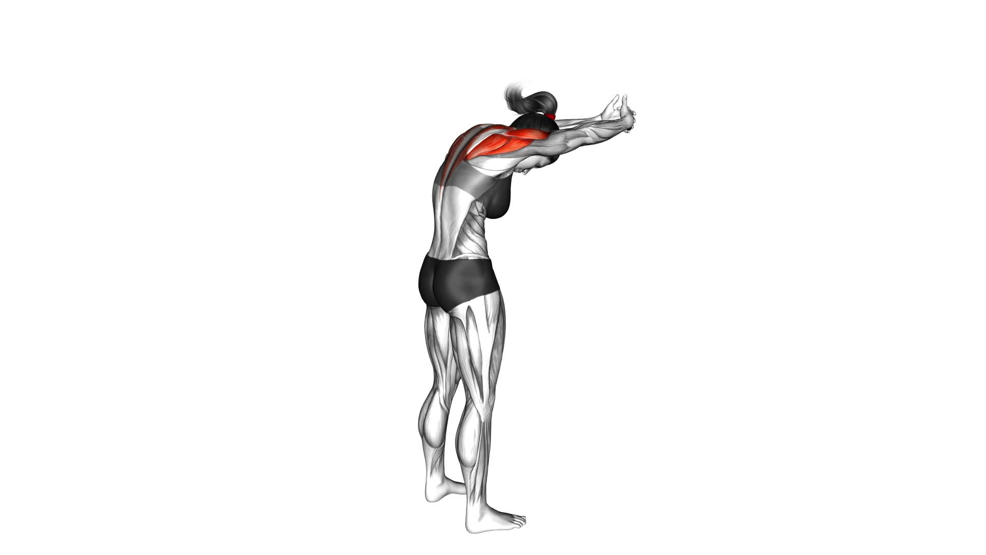 Standing Upper Back and Shoulder Stretch (female) - Video Exercise Guide & Tips