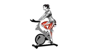 Stationary Bike Run (version 3) (female) - Video Exercise Guide & Tips