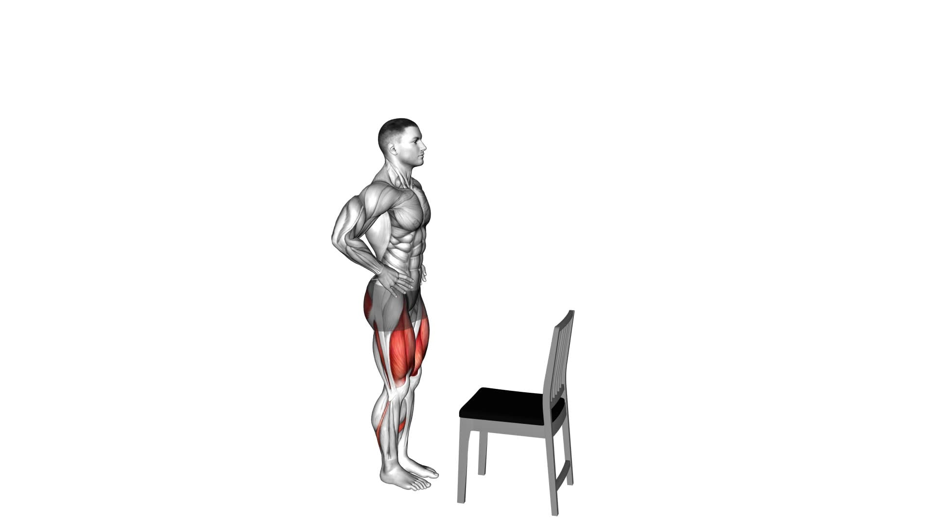 Step-up on Chair (VERSION 2) - Video Exercise Guide & Tips