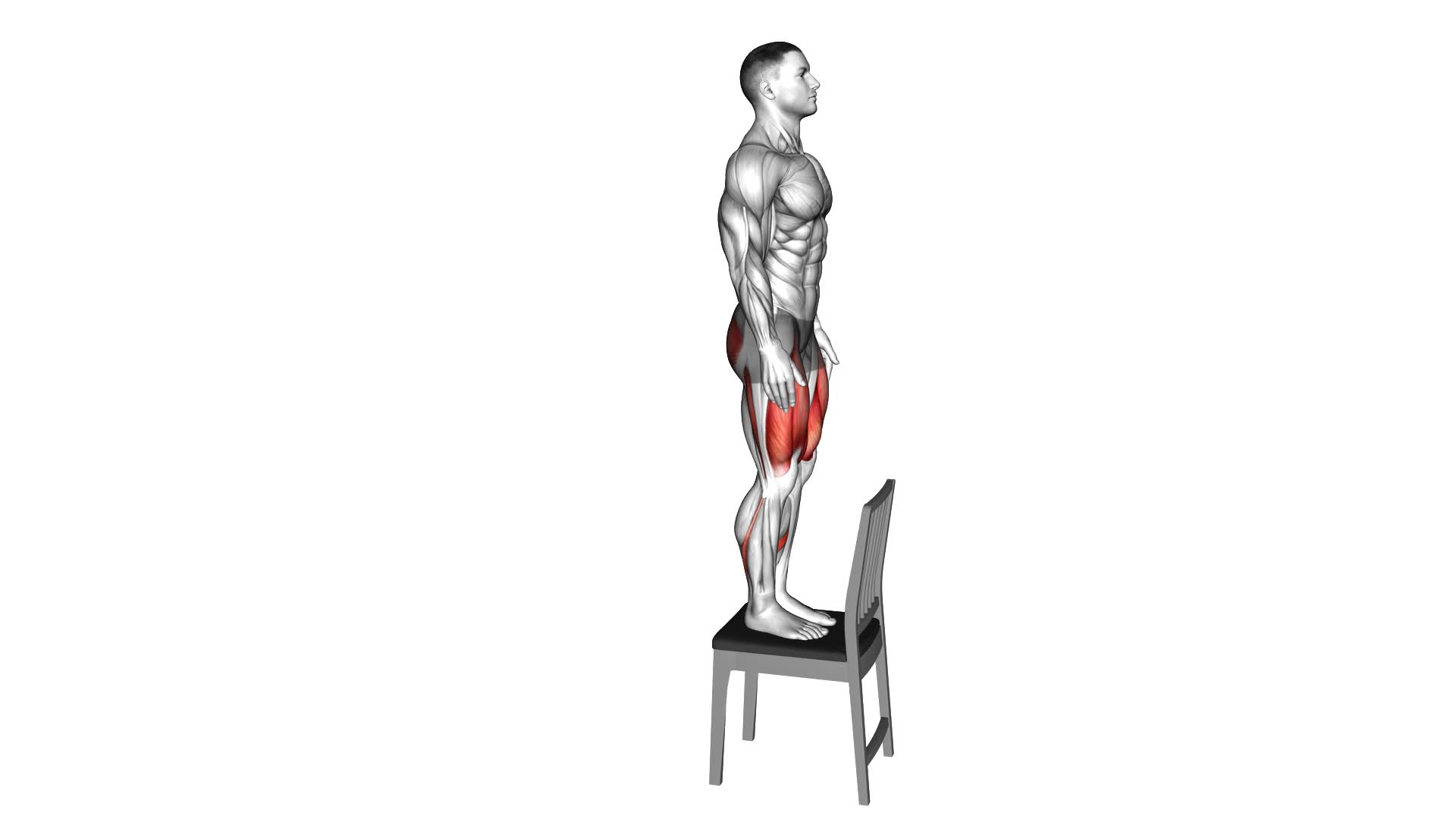 Step up on Chair - Video Exercise Guide & Tips