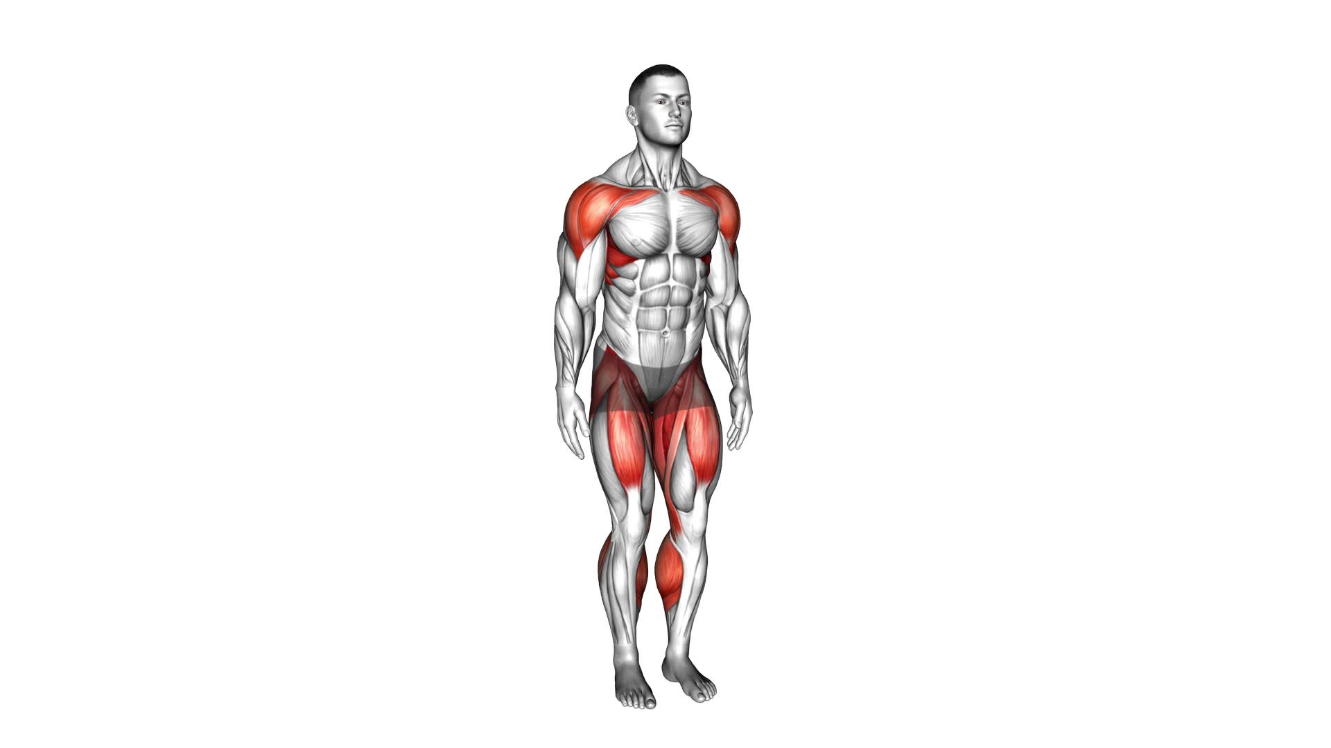 Stepjack Front Raise (male) - Video Exercise Guide & Tips