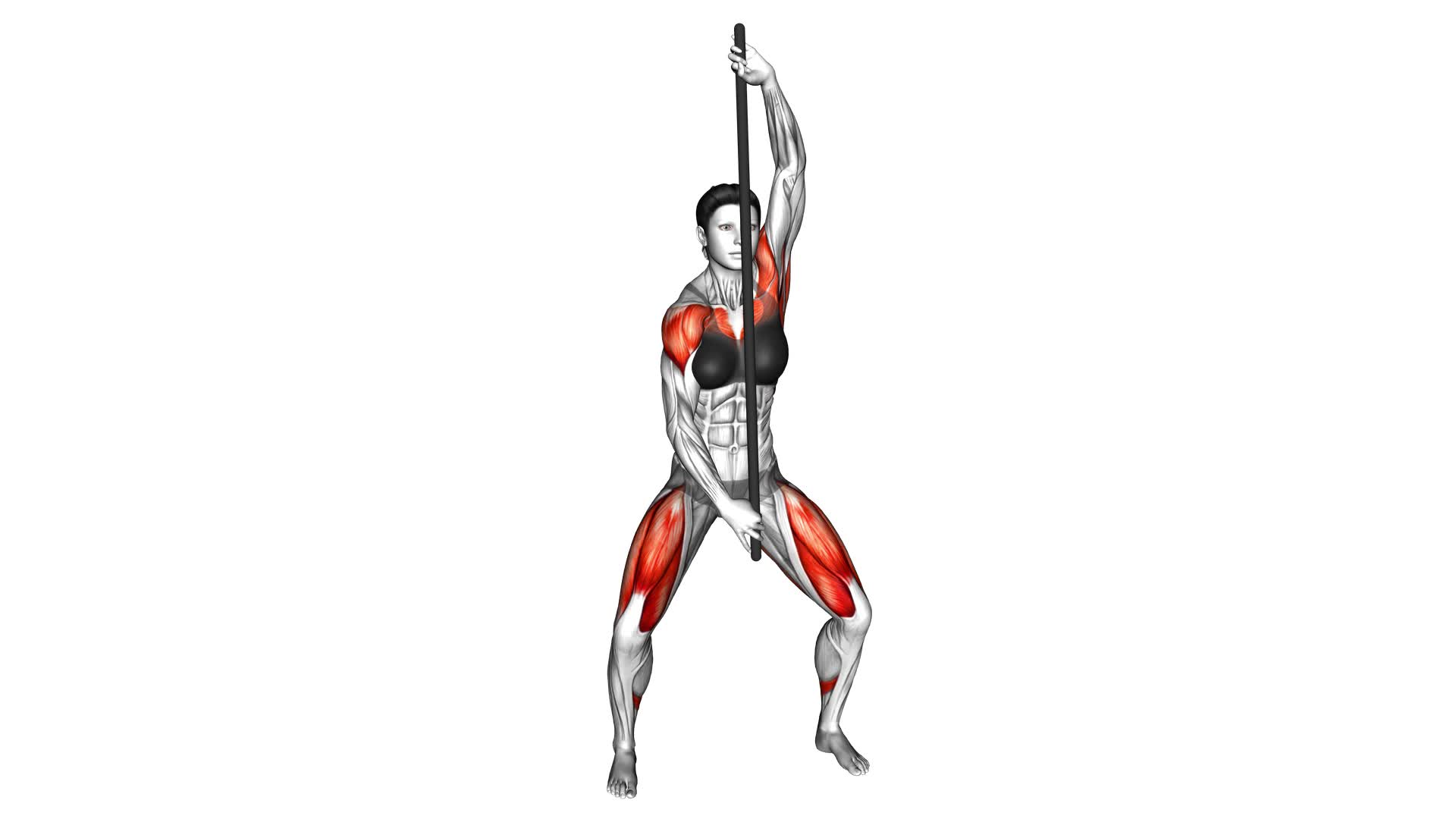 Stick Shoulders Stretch (female) - Video Exercise Guide & Tips