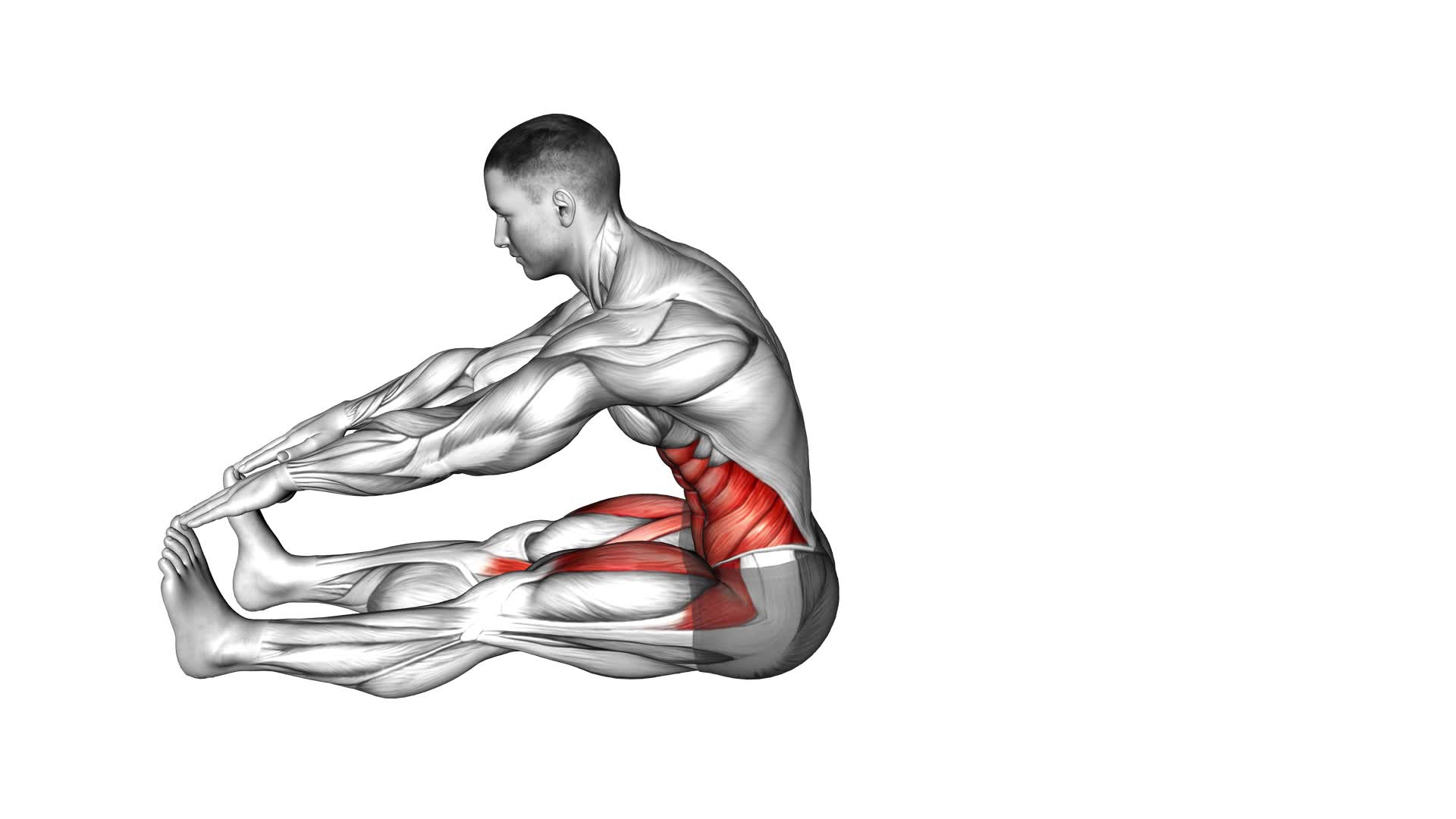 Straight Legs Sit-up Toe Tap (male) - Video Exercise Guide & Tips