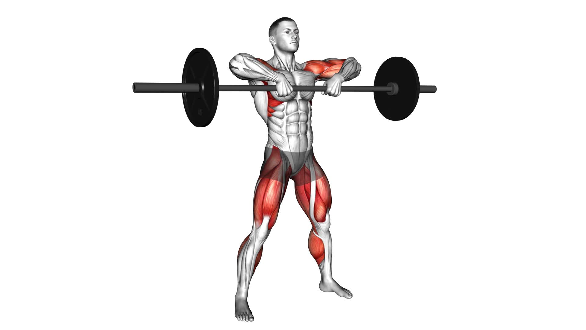 Sumo Deadlift High Pull - Video Exercise Guide & Tips
