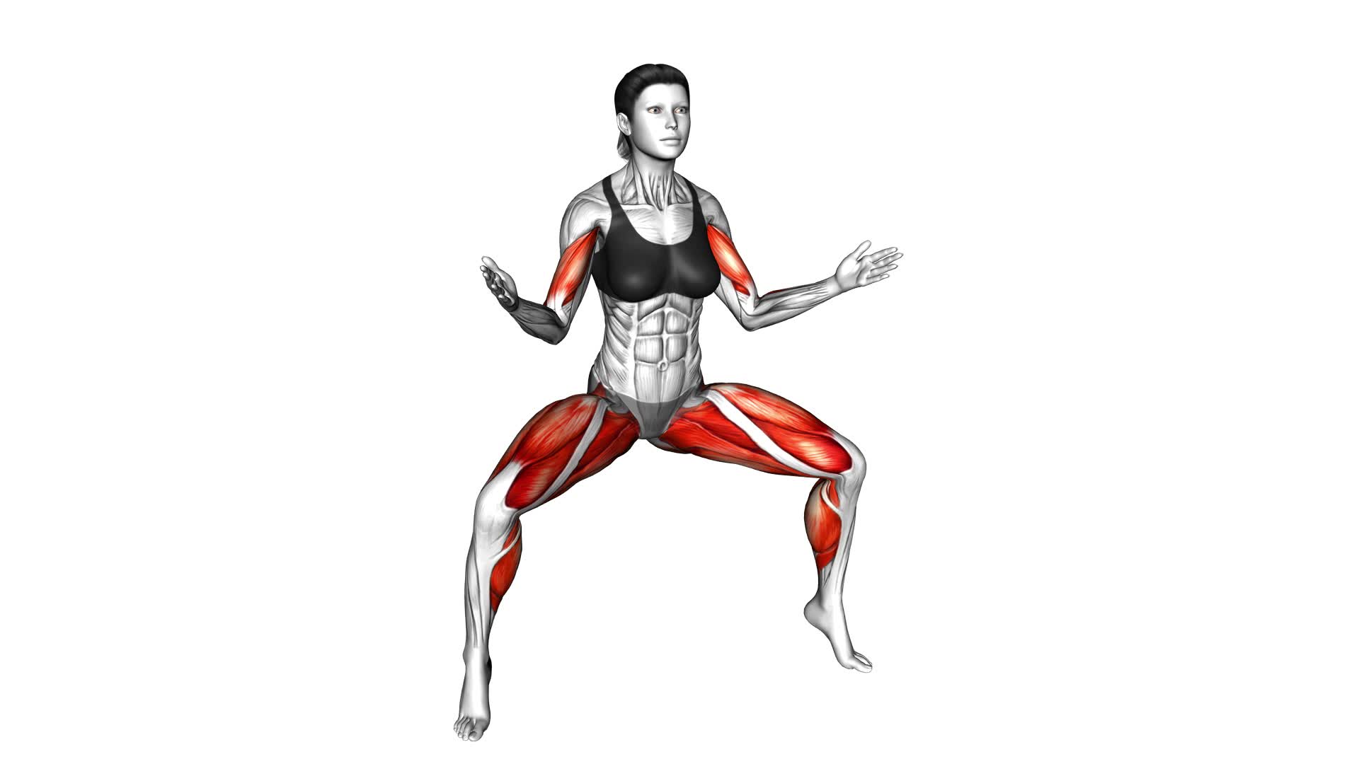 Sumo Quarter Squat Tip Toe With Arms Curl (Female) - Video Exercise Guide & Tips