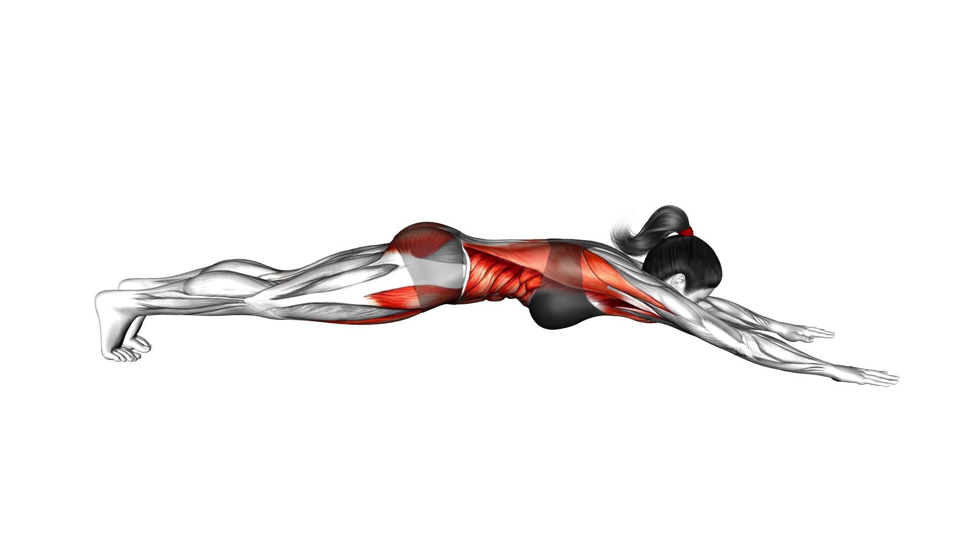 Superman Push-up (female) - Video Exercise Guide & Tips