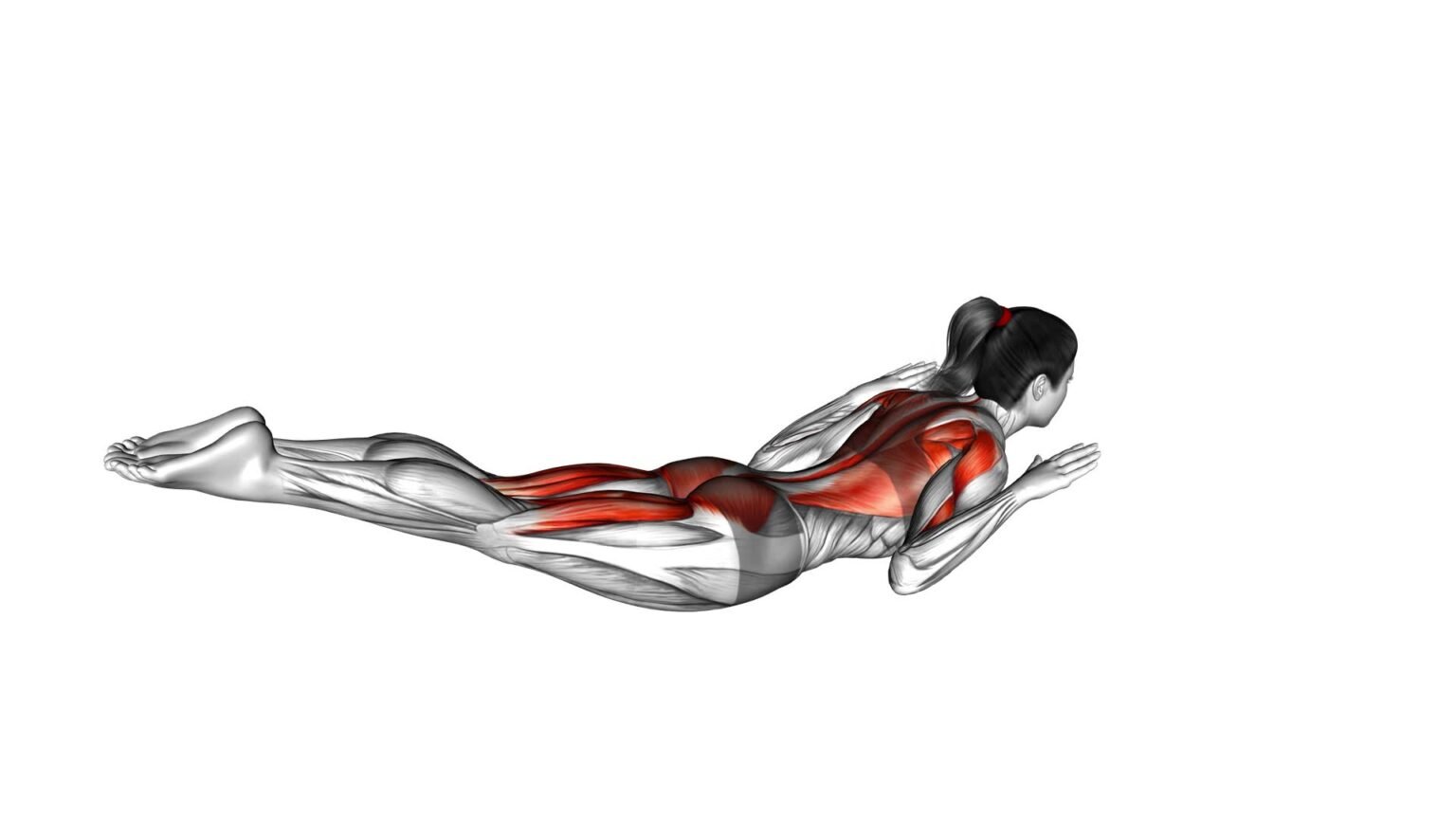 Superman Row (Female) - Ultimate Exercise Guide & Tips