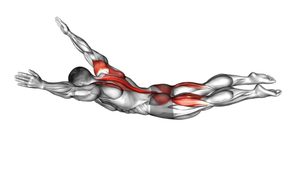 Superman Exercise Video Guide Tips For A Strong Core