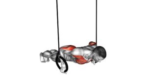 Suspended Push-up - Video Exercise Guide & Tips