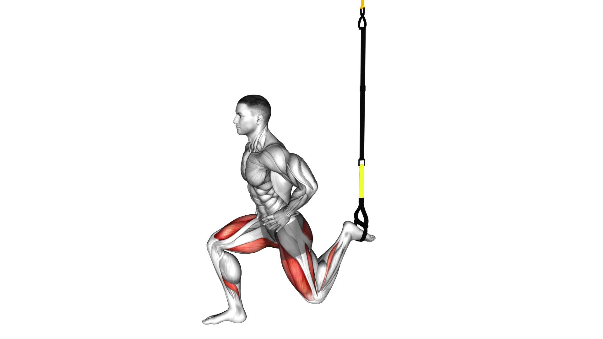 Suspended Split Squat - Video Exercise Guide & Tips