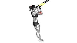 Suspender Arm Curl (female) - Video Exercise Guide & Tips