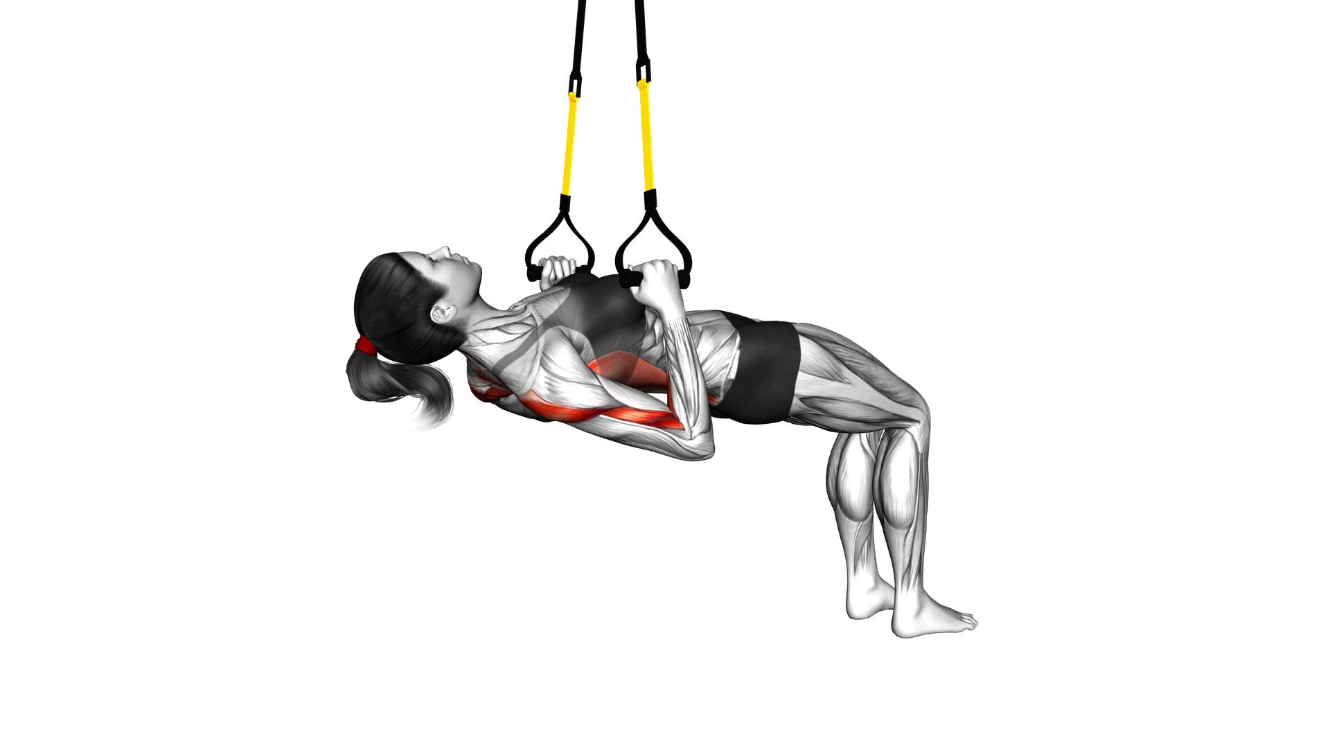 Suspender Bent Knee Inverted Row (Female) - Video Exercise Guide & Tips