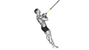 Suspender Biceps Curl (male) - Video Exercise Guide & Tips