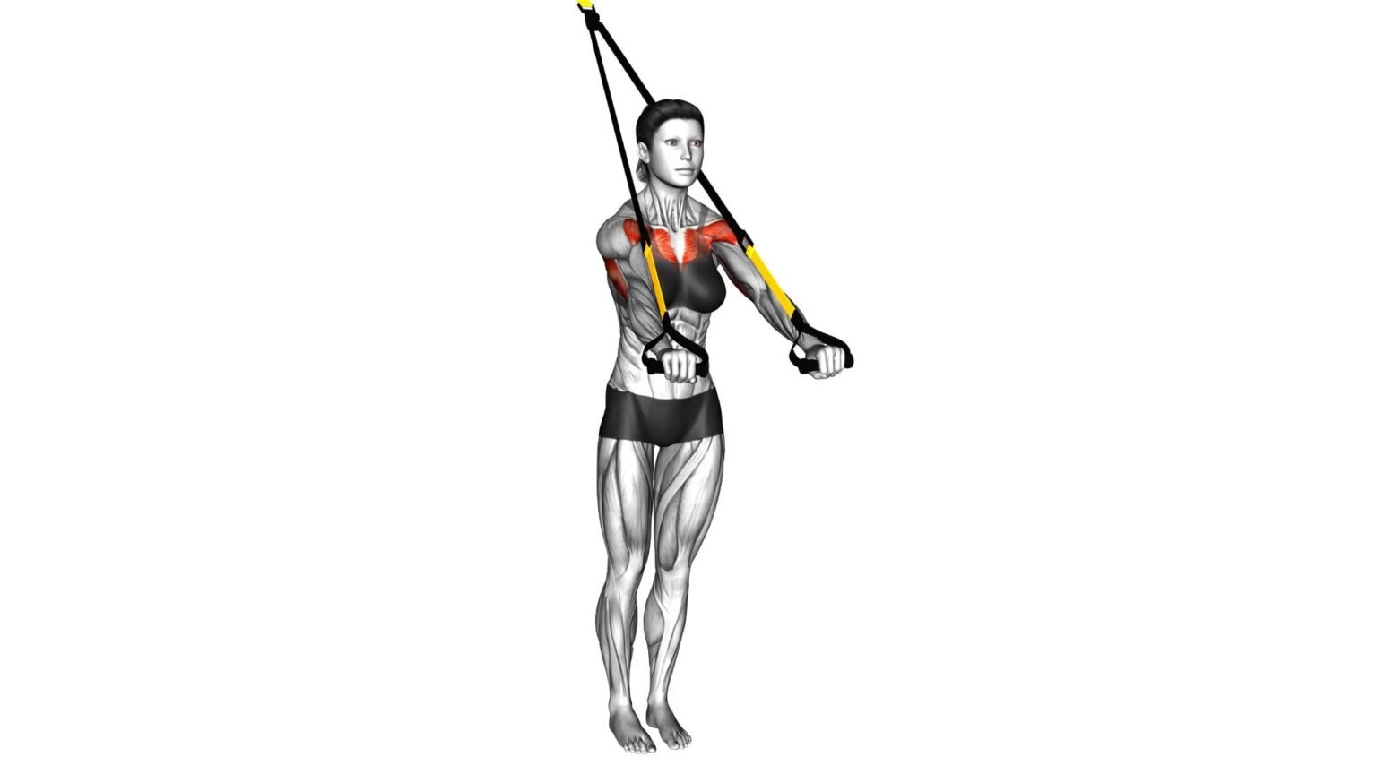Ultimate Guide: Suspender Chest Press For Women - Video & Tips