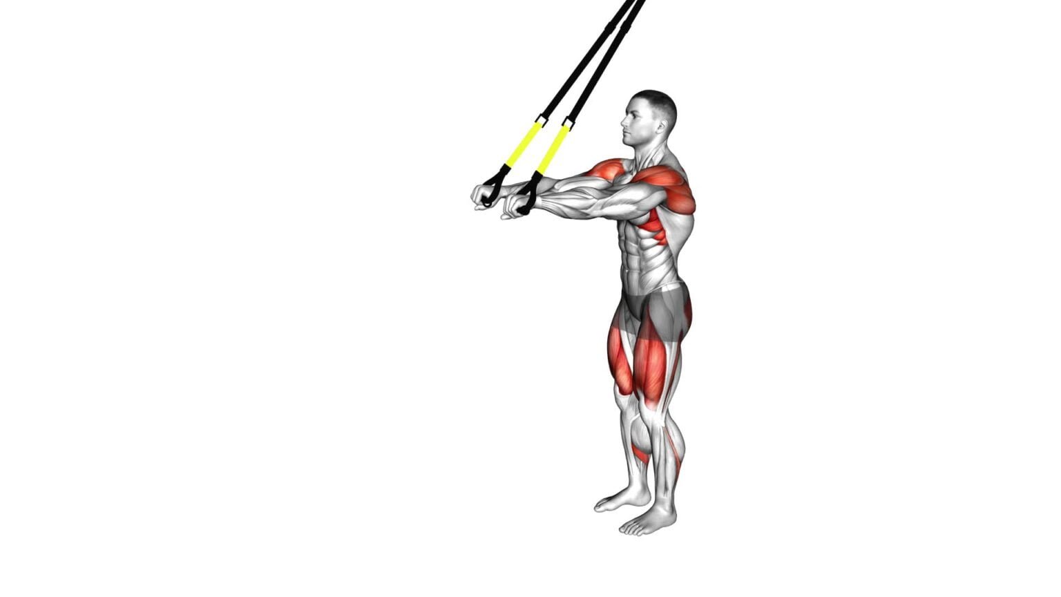 Suspender Forward Lunge: Male Video Guide & Tips