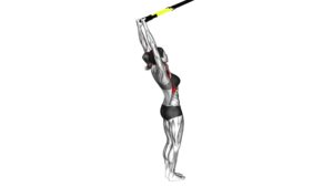 Suspender Front Raise (female) - Video Exercise Guide & Tips