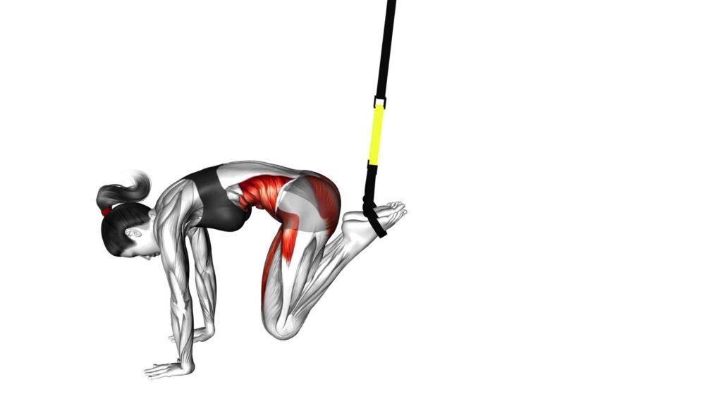 Master The Suspender Jack Knife (female) - Video Guide & Tips