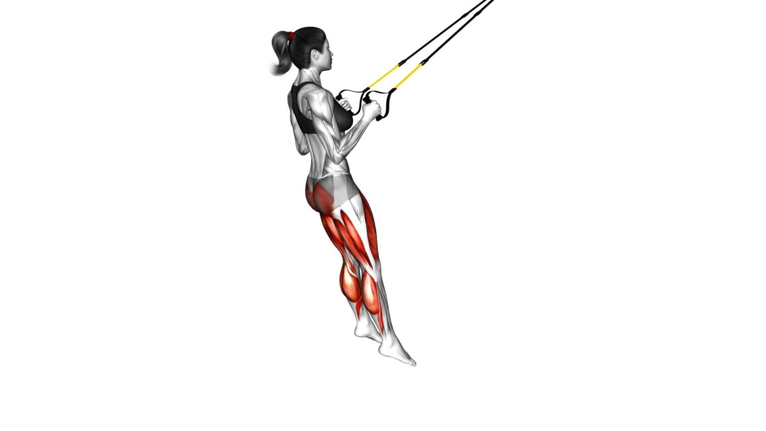 Master The Suspender Jump Squat: Female Video Guide & Tips