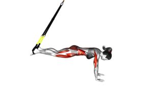 Suspender Mountain Climber Push-up (female) - Video Exercise Guide & Tips