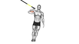 Suspender One Arm Biceps Curl (male) - Video Exercise Guide & Tips