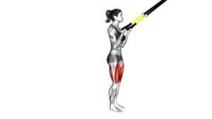 Suspender Rear Lunge (female) - Video Exercise Guide & Tips