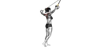 Suspender Reverse Fly (female) - Video Exercise Guide & Tips