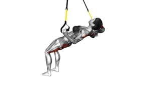 Suspender Reverse Fly Wake-up (female) - Video Exercise Guide & Tips