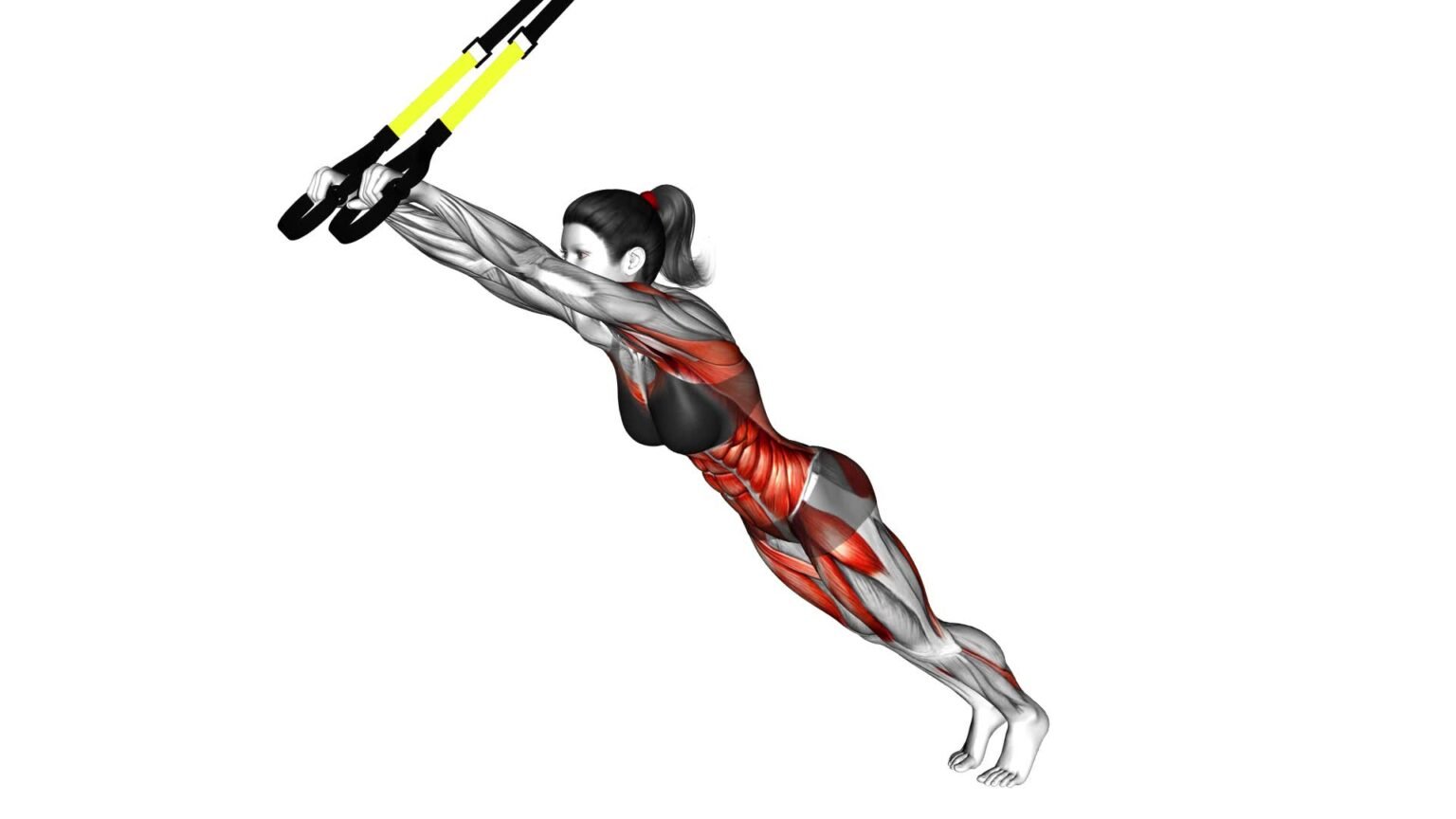 Female Suspender Rollout (V2): Video Guide & Tips For Effective Exercise