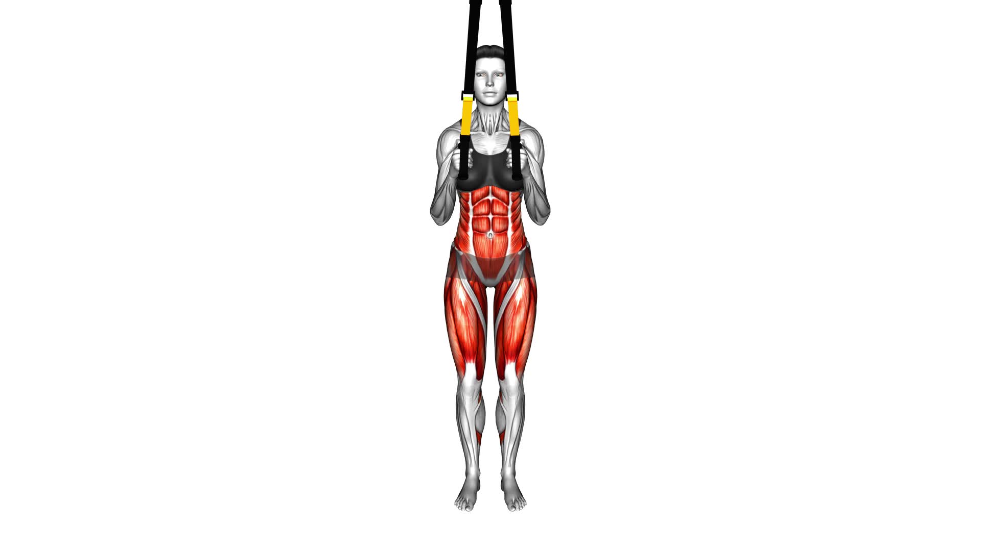 Suspender Side Lunge (female) - Video Exercise Guide & Tips
