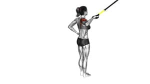 Suspender Single Arm Rear Delt Row (female) - Video Exercise Guide & Tips