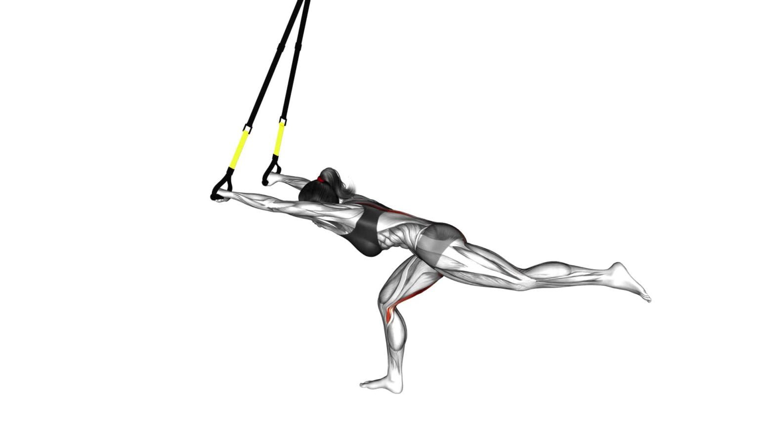 Master The Suspender Single Leg Deadlift (female) - Video Guide & Tips