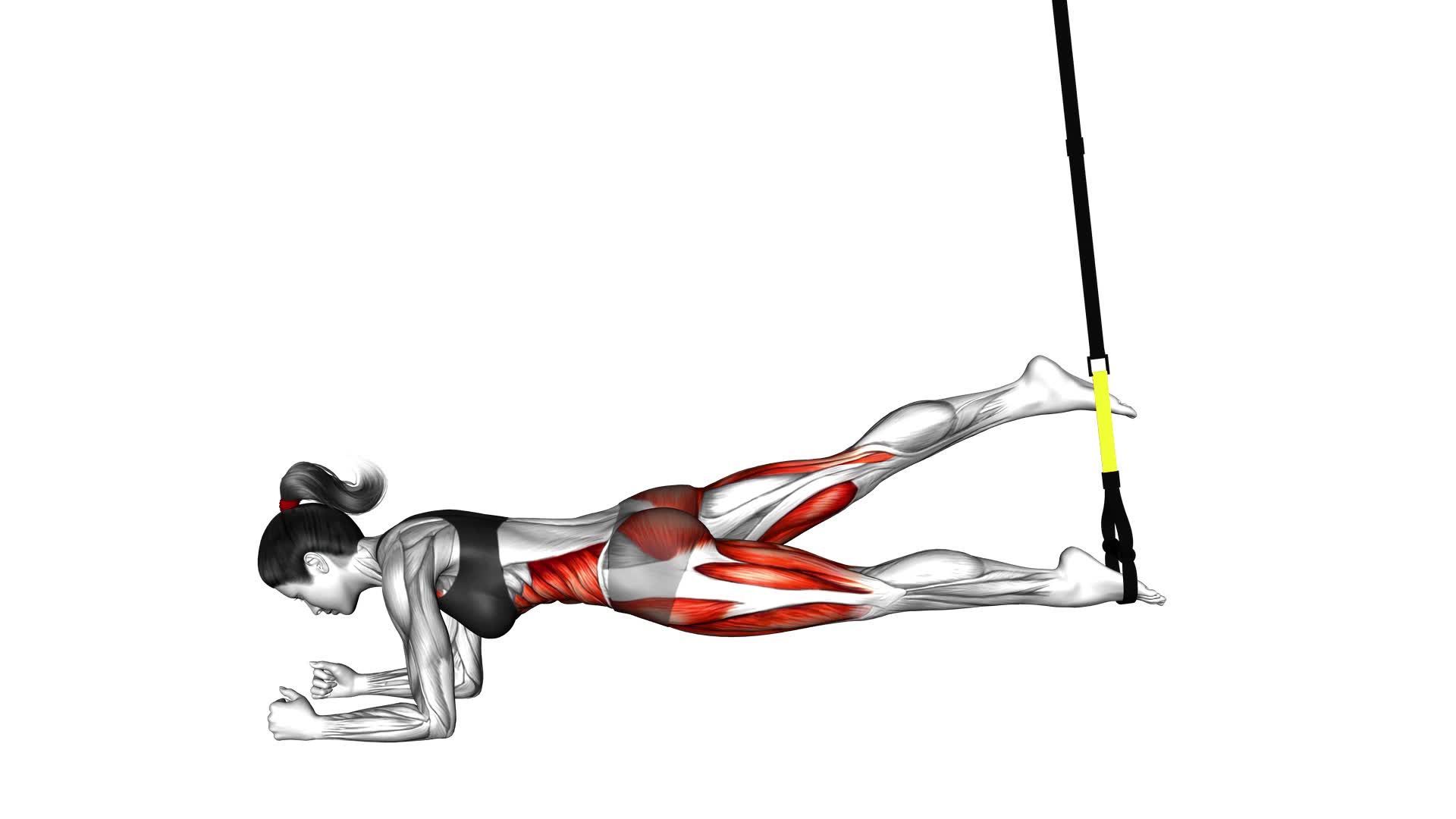 Suspender Single Leg Plank (female) - Video Exercise Guide & Tips