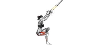 Suspender Single Leg Squat (female) (figure) - Video Exercise Guide & Tips
