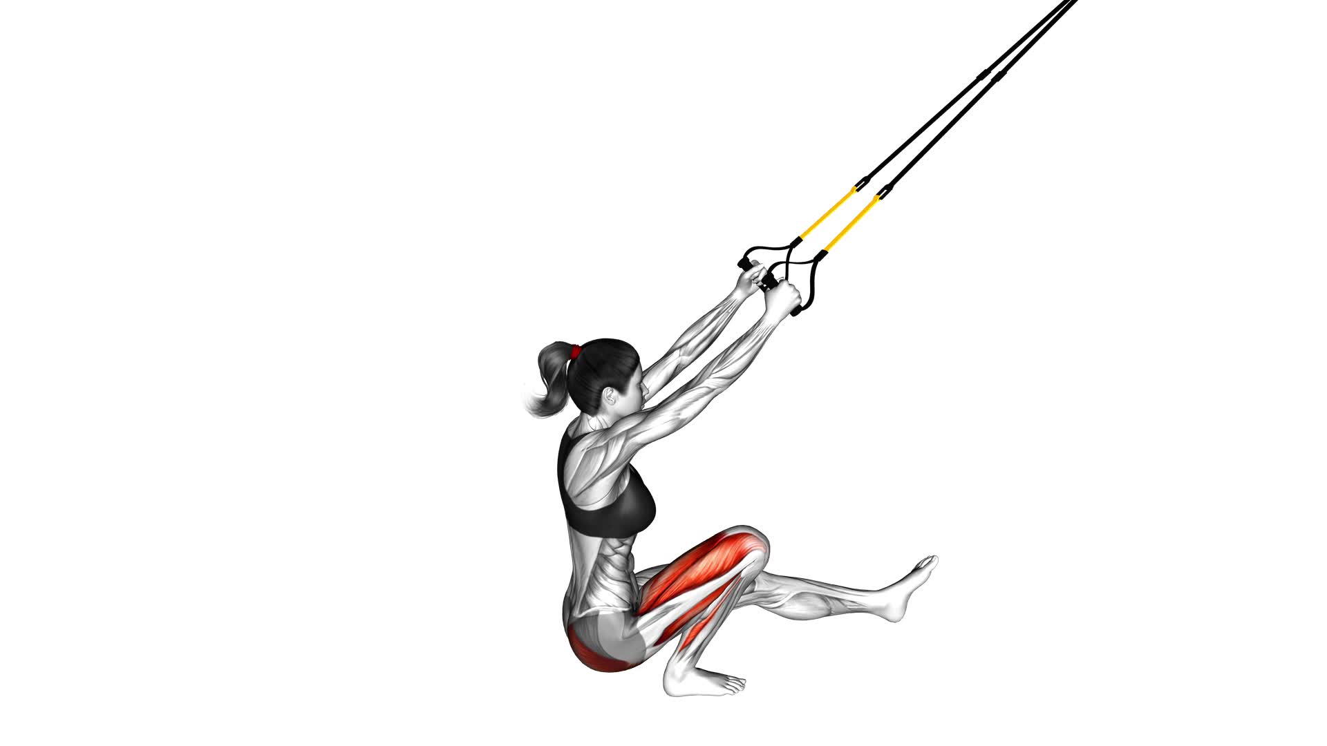 Suspender Single Leg Squat (female) - Video Exercise Guide & Tips