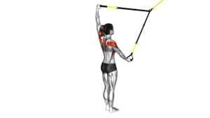 Suspender Split Fly (female) - Video Exercise Guide & Tips