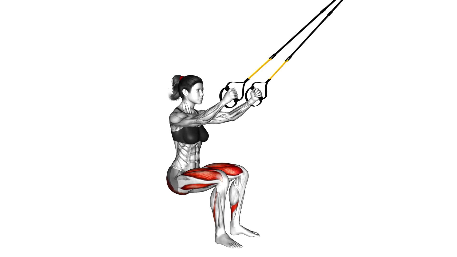 Suspender Squat (female) - Video Exercise Guide & Tips