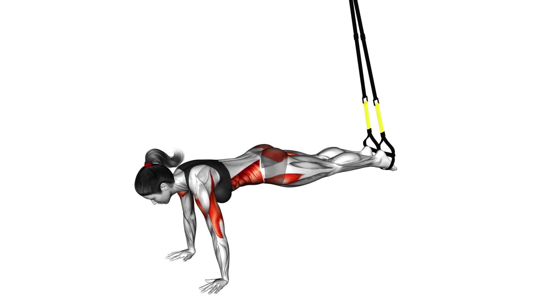 Suspender Star Push-up (female) - Video Exercise Guide & Tips