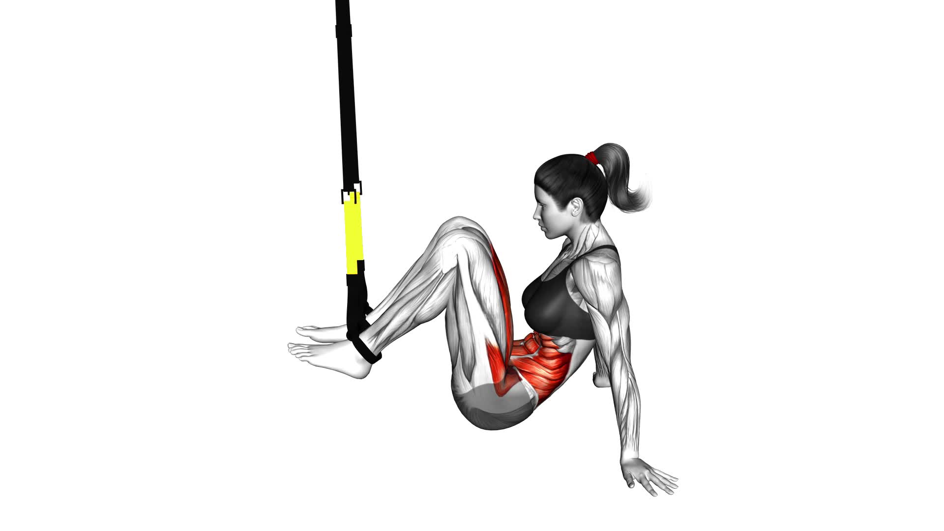 Suspender Supine Crunch - Video Exercise Guide & Tips