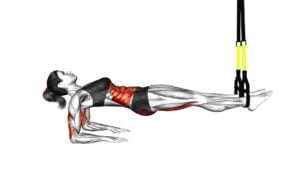 Suspender Supine Plank (female) - Video Exercise Guide & Tips
