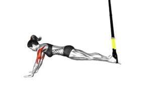 Suspender Triceps Extension Push-up (female) - Video Exercise Guide & Tips