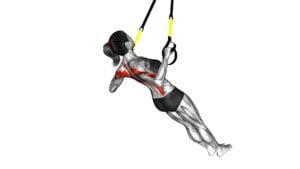 Suspender Wide Grip Inverted Row on Floor (Female) - Video Exercise Guide & Tips