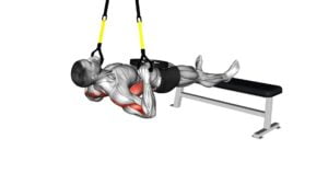 Suspender Wide Grip Inverted Row - Video Exercise Guide & Tips