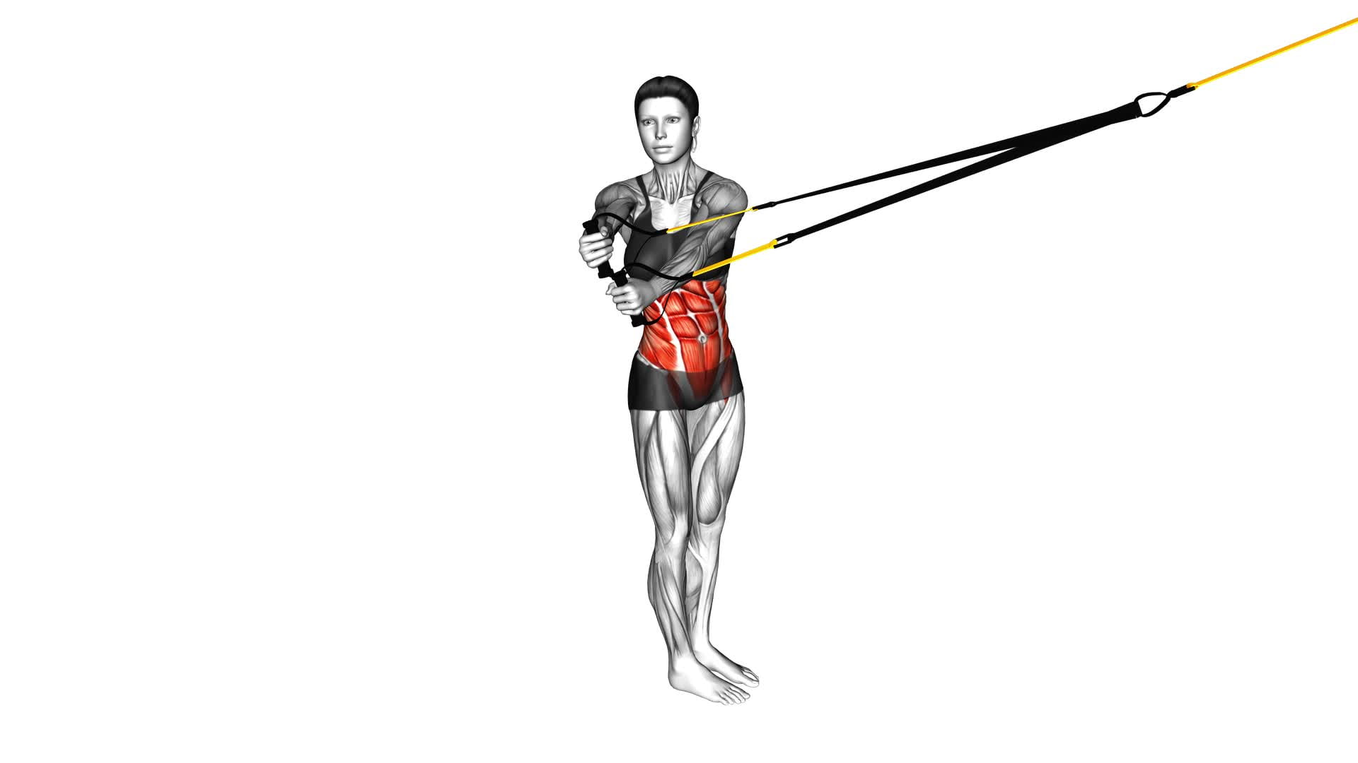 Suspender Woodchopper (female) - Video Exercise Guide & Tips