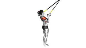 Suspender YW Raise (Female) - Video Exercise Guide & Tips