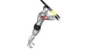 Suspension Triceps Extension (male) - Video Exercise Guide & Tips