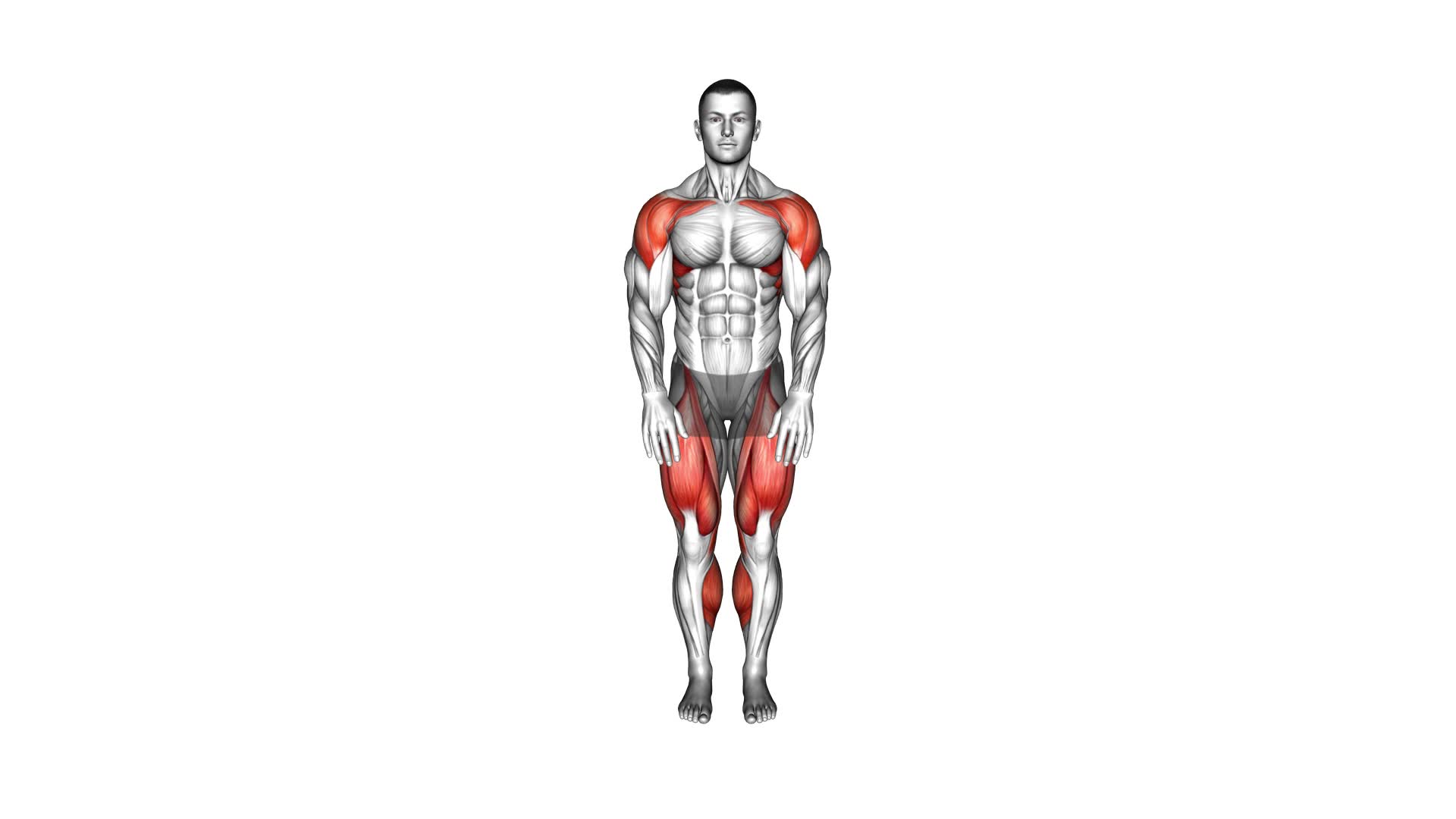 Swing and Froward Step (male) - Video Exercise Guide & Tips